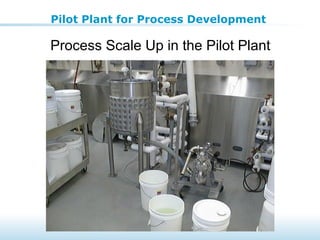 Process Scale Up in the Pilot Plant
Pilot Plant for Process Development
 