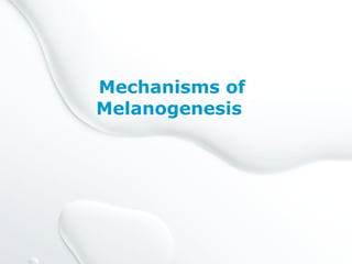 Mechanisms of
Melanogenesis
 