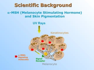 α-MSH (Melanocyte Stimulating Hormone)
and Skin Pigmentation
UV Rays
Melanocyte
Keratinocytes
Signal
Receptor
α-MSH:
Signaling
molecules
Scientific BackgroundScientific Background
 