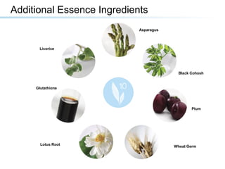 Additional Essence Ingredients
Asparagus
Licorice
Glutathione
Lotus Root
Wheat Germ
Plum
Black Cohosh
 