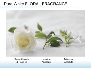 Rose Absolute
& Rose Oil
Tuberose
Absolute
Jasmine
Absolute
Pure White FLORAL FRAGRANCE
 