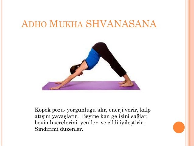 13+ Prasarita Padottanasana Pozu Yoga Poses