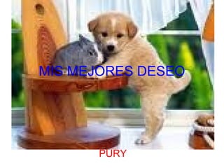 MIS MEJORES DESEO PURY 