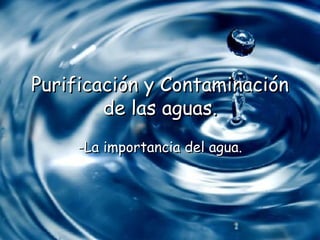 Purificación y Contaminación de las aguas. -La importancia del agua. 