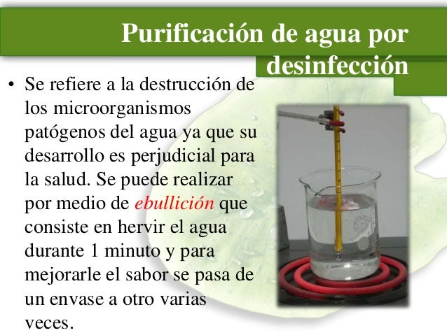 El hongo sobre las uñas influye sobre la potencia