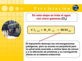 Precloración   En esta etapa se trata el agua  con cloro gaseoso  (Cl 2 ) Cl 2 (g)  + H 2 O  (l)   ->  HClO  (ac) El hipoclorito destruye los microorganismos  patógenos, pero su exceso es perjudicial para  la salud (esta asociado a ciertos tipos de cáncer  y a la alteración de proteínas y su consiguiente  efecto en el sistema endocrino) 