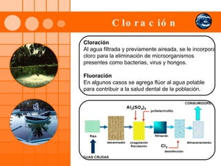 Cloración   Cloración Al agua filtrada y previamente aireada, se le incorpora cloro para la eliminación de microorganismos presentes como bacterias, virus y hongos. Fluoración En algunos casos se agrega flúor al agua potable  para contribuir a la salud dental de la población. 