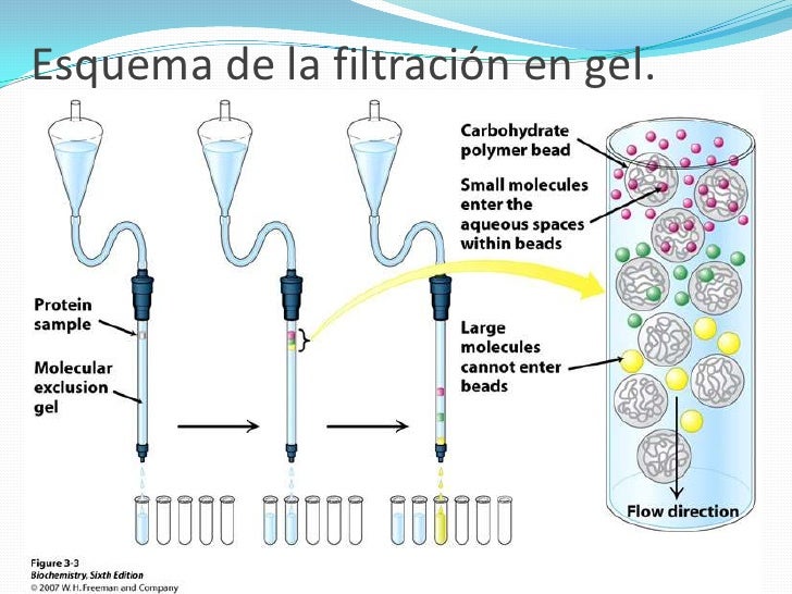 Purificacion taller
