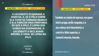 4) NO PÊLO – TESTEMUNHO – ABSOLVE O CALOR 5) –NAS VESTES – PROTEGE, ABRIGA...
 