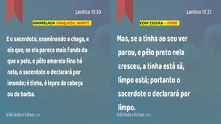 AMARELADA FRAQUEZA, MORTE. COM ESCURA – FOME
 