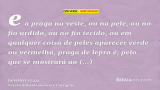 COR VERDE - IMATURIDADE
 