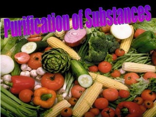 Purification of Substances 