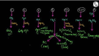 Purification And Analysis Of Organic Compounds 02 Class Notes Arjuna ...