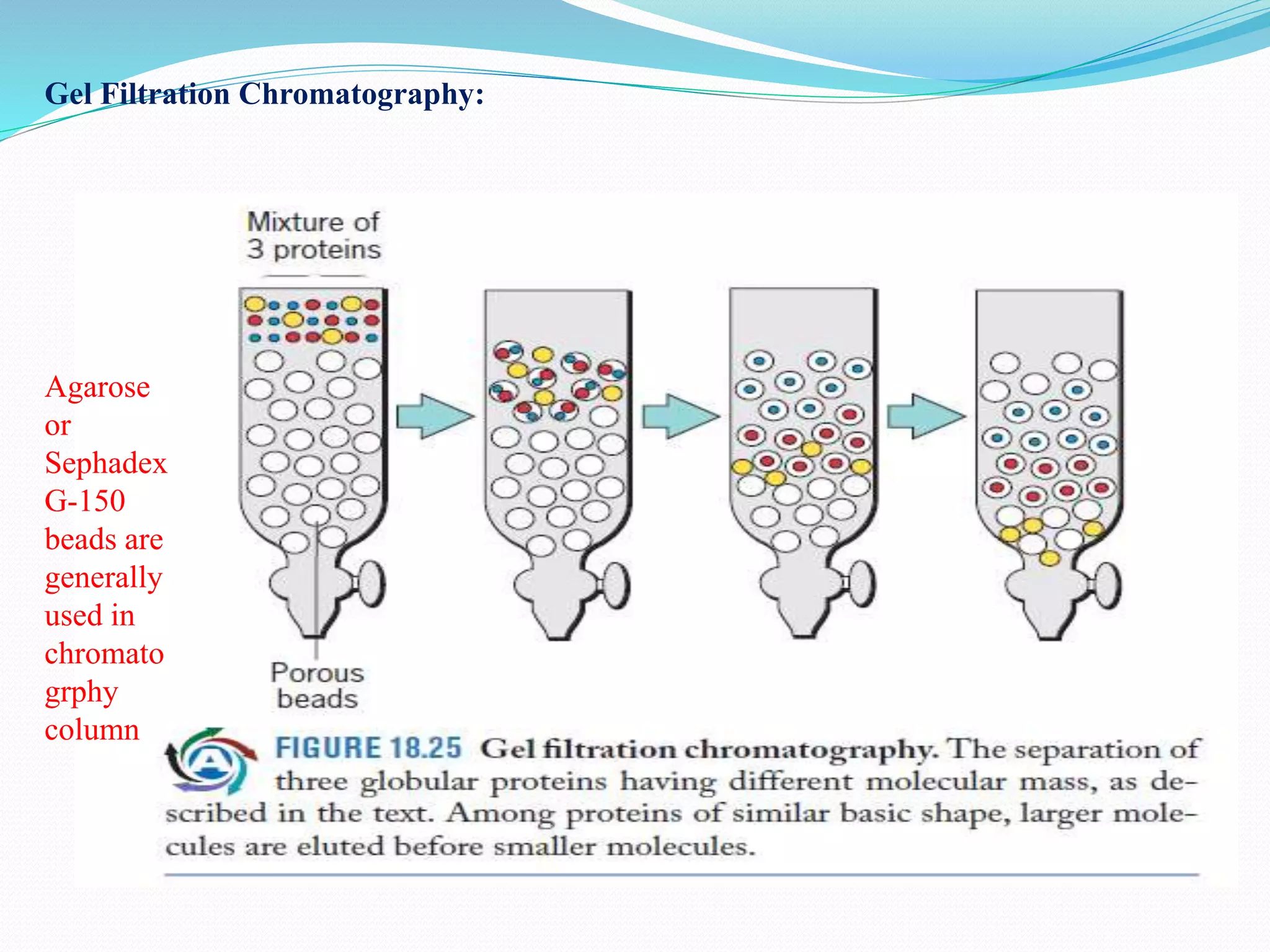 Purification by chromatography and formulation