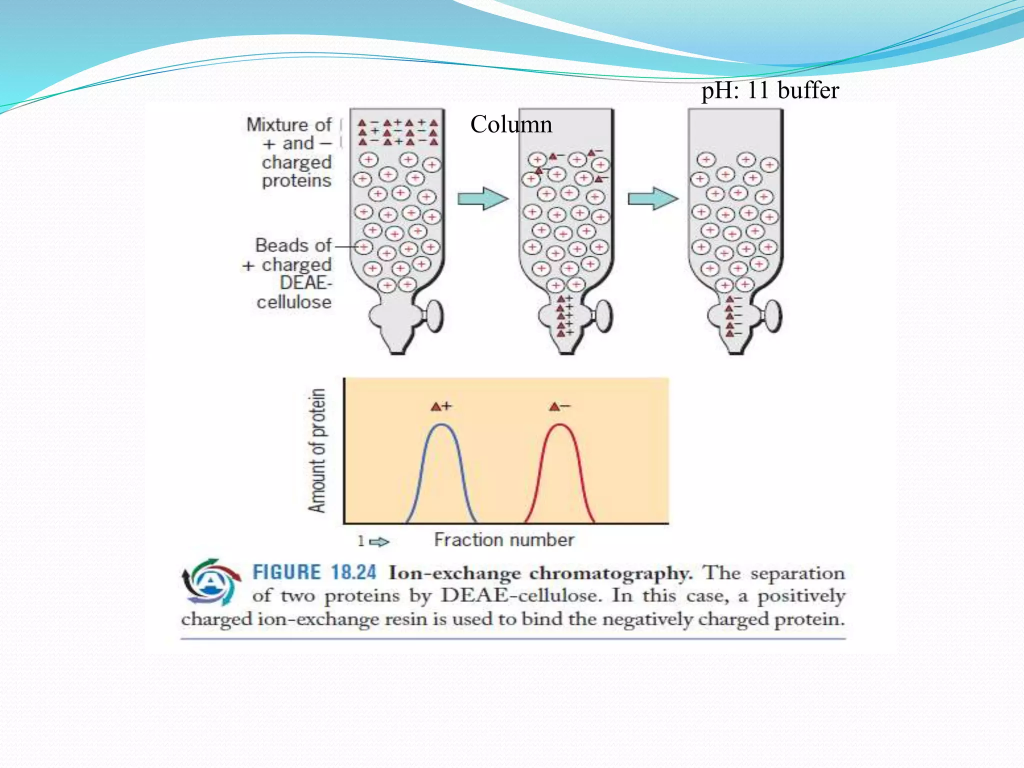 Purification by chromatography and formulation