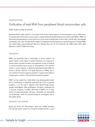 Sample to Insight
ApplicationNote
Purification of total RNA from peripheral blood mononuclear cells
Steffen Zingler and Peter Porschewski
Peripheral blood is often used for in vitro studies of the human immune system or immune responses, such as inflammation.
An important part of the human immune system is represented by the peripheral blood mononuclear cells (PBMC). PBMC are
blood cells characterized by a round nucleus and consist mainly of lymphocytes (T cells, B cells, and NK cells), macrophages
and dendritic cells. Here, we describe the analysis of lipopolysaccharide-induced transcriptional response of isolated PBMC
from whole blood using the RNeasy®
Mini Kit or RNeasy Micro Kit, RT2
First Strand Kit, RT2
SYBR®
Green ROX™
qPCR
Mastermix, and RT2
Profiler PCR Arrays.
Introduction
PBMC are extensively used in immunology or cancer research. Of
special interest, is the analysis of cytokine expression as a response of
immune system activation by either microorganisms (viruses or bacteria)
or immune stimulation due to vaccine or drug treatment. (1) In bacterial
infection, immune response is elicited by lipopolysaccharide (LPS) and
causes a dynamic response in the gene expression of PBMC. The in
vitro induction of immune response using LPS is a good control system to
analyze genes involved in LPS-induced transcriptional response.
PBMC can be isolated from whole blood using density-gradient media
such as Ficoll-Paque®
, a hydrophilic polysaccharide. Due to its physical
properties, it can be used to separate whole blood through density-
gradient centrifugation. After centrifugation, the blood is separated into
a top layer of plasma, a middle, white layer of PBMC, and a lower
fraction of polymorphonuclear cells (e.g., neutrophils and eosinophils)
and erythrocytes, which are removed during the centrifugation due to
their higher density.
Materials and methods
Blood was drawn into lithium-heparin tubes from healthy volunteers
with informed written consent. For stimulation of blood with LPS, a stock
 