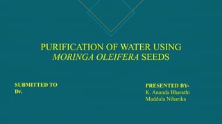 PURIFICATION OF WATER USING
MORINGA OLEIFERA SEEDS
PRESENTED BY-
K. Ananda Bharathi
Maddula Niharika
SUBMITTED TO
Dr.
 