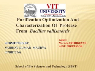 Purification Optimization And
Characterization Of Protease
From Bacillus vallismortis
SUBMITTED BY:
VAIBHAV KUMAR MAURYA
(07BBT254)
School of Bio Sciences and Technology (SBST)
Guide:
Mr. S. KARTHIKEYAN
ASST. PROFESSOR
 