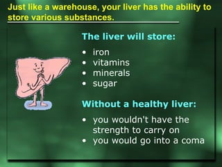 Just like a warehouse, your liver has the ability to store various substances.  <ul><li>The liver will store:   </li></ul>...