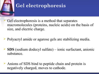 Gel electrophoresis
 Gel electrophoresis is a method that separates
macromolecules (proteins, nucleic acids) on the basis of
size, and electric charge.
 Polyacryl amide or agarose gels are stabilizing media.
 SDS (sodium dodecyl sulfate) – ionic surfactant, anionic
substance.
 Anions of SDS bind to peptide chain and protein is
negatively charged, moves to cathode.
 