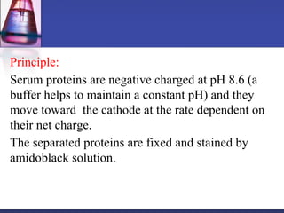 Principle:
Serum proteins are negative charged at pH 8.6 (a
buffer helps to maintain a constant pH) and they
move toward the cathode at the rate dependent on
their net charge.
The separated proteins are fixed and stained by
amidoblack solution.
 
