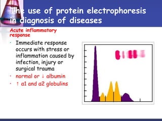 The use of protein electrophoresis
in diagnosis of diseases
Acute inflammatory
response
• Immediate response
occurs with stress or
inflammation caused by
infection, injury or
surgical trauma
• normal or albumin↓
• ↑ α1 and α2 globulins
 