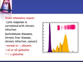 Chronic inflammatory response
• Late response is
correlated with chronic
infection
(autoimmune diseases,
chronic liver disease,
chronic infection, cancer)
• normal or albumin↓
•↑α1 or α2 globulins
•↑↑ γ globulins
 
