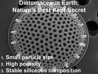Diatomaceous Earth:
Nature’s Best Kept Secret
1. Small particle size
2. High porosity
3. Stable siliceous composition
 