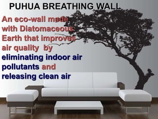 An eco-wall made
with Diatomaceous
Earth that improves
air quality by
eliminating indoor air
pollutants and
releasing clean air
PUHUA BREATHING WALL
 