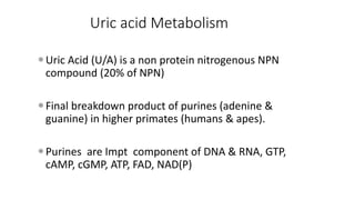 Comprehensive Overview of Purine and Uric Acid Metabolism and ...