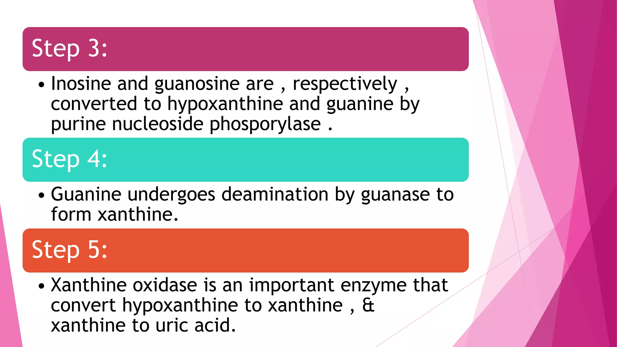 Step 3:
• Inosine and guanosine are , respectively ,
converted to hypoxanthine and guanine by
purine nucleoside phosporylase .
Step 4:
• Guanine undergoes deamination by guanase to
form xanthine.
Step 5:
• Xanthine oxidase is an important enzyme that
convert hypoxanthine to xanthine , &
xanthine to uric acid.
 