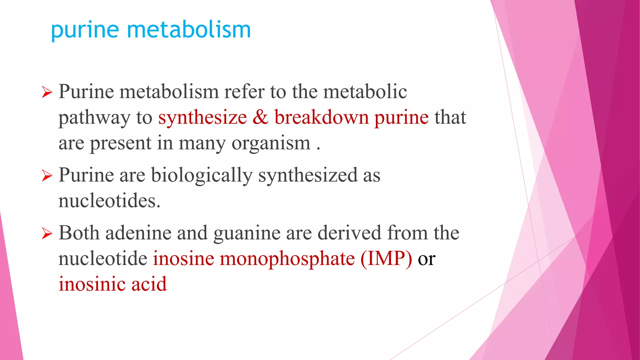purine metabolism
 Purine metabolism refer to the metabolic
pathway to synthesize & breakdown purine that
are present in many organism .
 Purine are biologically synthesized as
nucleotides.
 Both adenine and guanine are derived from the
nucleotide inosine monophosphate (IMP) or
inosinic acid
 