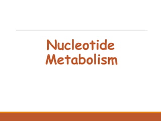 Nucleotide
Metabolism
 