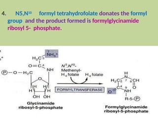 4. N5,N10 formyl tetrahydrofolate donates the formyl
group and the product formed is formylglycinamide
ribosyl 5- phosphate.
 