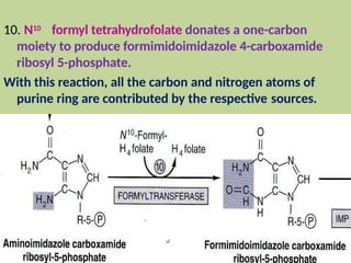 10. N10 formyl tetrahydrofolate donates a one-carbon
moiety to produce formimidoimidazole 4-carboxamide
ribosyl 5-phosphate.
With this reaction, all the carbon and nitrogen atoms of
purine ring are contributed by the respective sources.
 