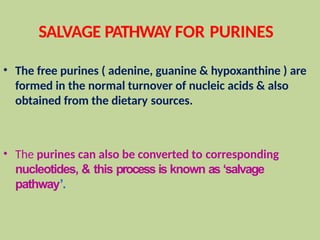 SALVAGE PATHWAY FOR PURINES
• The free purines ( adenine, guanine & hypoxanthine ) are
formed in the normal turnover of nucleic acids & also
obtained from the dietary sources.
• The purines can also be converted to corresponding
nucleotides, & this process is known as ‘salvage
pathway’.
 