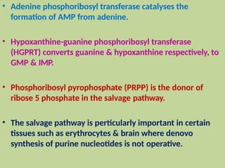 • Adenine phosphoribosyl transferase catalyses the
formation of AMP from adenine.
• Hypoxanthine-guanine phosphoribosyl transferase
(HGPRT) converts guanine & hypoxanthine respectively, to
GMP & IMP.
• Phosphoribosyl pyrophosphate (PRPP) is the donor of
ribose 5 phosphate in the salvage pathway.
• The salvage pathway is perticularly important in certain
tissues such as erythrocytes & brain where denovo
synthesis of purine nucleotides is not operative.
 