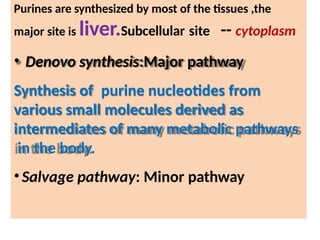 Purines are synthesized by most of the tissues ,the
major site is liver.Subcellular site -- cytoplasm
• Denovo synthesis:Major pathway
Synthesis of purine nucleotides from
various small molecules derived as
intermediates of many metabolic pathways
in the body.
• Salvage pathway: Minor pathway
 