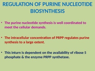 REGULATION OF PURINE NUCLEOTIDE
BIOSYNTHESIS
• The purine nucleotide synthesis is well coordinated to
meet the cellular demands.
• The intracellular concentration of PRPP regulates purine
synthesis to a large extent.
• This inturn is dependent on the availability of ribose 5
phosphate & the enzyme PRPP synthetase.
 