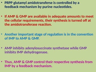 • PRPP glutamyl amidotransferse is controlled by a
feedback mechanism by purine nucleotides.
• If AMP & GMP are available in adequate amounts to meet
the cellular requirements, their synthesis is turned off at
the amidotransferase reaction.
• Another important stage of regulation is in the convertion
of IMP to AMP & GMP.
• AMP inhibits adenylosuccinate synthetase while GMP
inhibits IMP dehydrogenase.
• Thus, AMP & GMP control their respective synthesis from
IMP by a feedback mechanism.
 