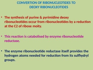 CONVERTION OF RIBONUCLEOTIDES TO
DEOXY RIBONUCLEOTIDES
• The synthesis of purine & pyrimidine deoxy
ribonucleotides occur from ribonucleotides by a reduction
at the C2 of ribose moity.
• This reaction is catabolised by enzyme ribonucleotide
reductase.
• The enzyme ribonucleotide reductase itself provides the
hydrogen atoms needed for reduction from its sulfhydryl
groups.
 