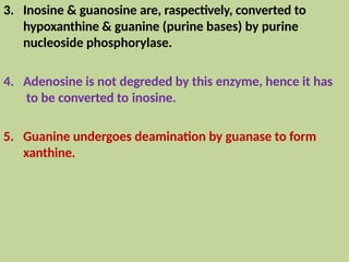 3. Inosine & guanosine are, raspectively, converted to
hypoxanthine & guanine (purine bases) by purine
nucleoside phosphorylase.
4. Adenosine is not degreded by this enzyme, hence it has
to be converted to inosine.
5. Guanine undergoes deamination by guanase to form
xanthine.
 