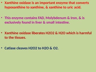 • Xanthine oxidase is an important enzyme that converts
hypoxanthine to xanthine, & xanthine to uric acid.
• This enzyme contains FAD, Molybdenum & Iron, & is
exclusively found in liver & small intestine.
• Xanthine oxidase liberates H2O2 & H2O which is harmful
to the tissues.
• Catlase cleaves H2O2 to H2O & O2.
 