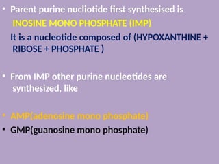 • Parent purine nucliotide first synthesised is
INOSINE MONO PHOSPHATE (IMP)
It is a nucleotide composed of (HYPOXANTHINE +
RIBOSE + PHOSPHATE )
• From IMP other purine nucleotides are
synthesized, like
• AMP(adenosine mono phosphate)
• GMP(guanosine mono phosphate)
 