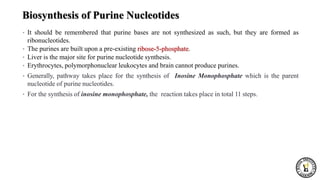 Biosynthesis of Purine Nucleotides
• It should be remembered that purine bases are not synthesized as such, but they are formed as
ribonucleotides.
• The purines are built upon a pre-existing ribose-5-phosphate.
• Liver is the major site for purine nucleotide synthesis.
• Erythrocytes, polymorphonuclear leukocytes and brain cannot produce purines.
• Generally, pathway takes place for the synthesis of Inosine Monophosphate which is the parent
nucleotide of purine nucleotides.
• For the synthesis of inosine monophosphate, the reaction takes place in total 11 steps.
 