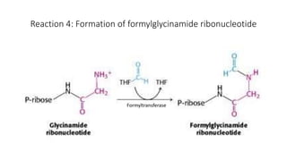 Formylglycinamide Ribotide Purines synthesis and catabolism process | PPTX