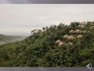 Puri sebatu resort
