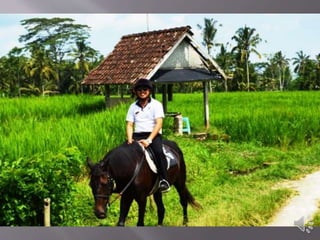 Puri sebatu resort