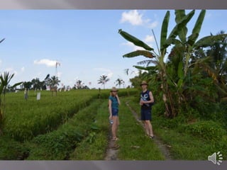 Puri sebatu resort