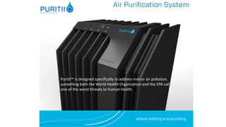 Puritii 2024 air filter